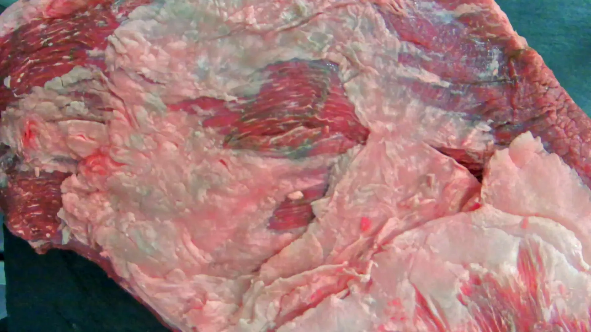 Brisket (Wagyu Premium), 5,82 kg – Foto genau dieses Stücks