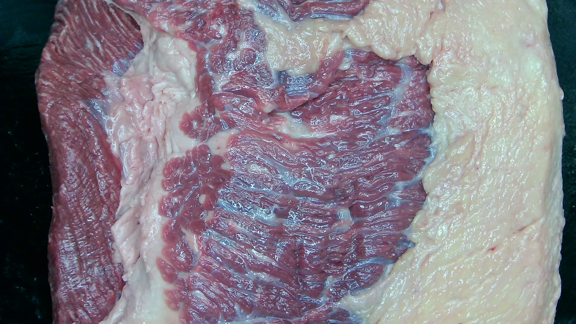 Brisket
