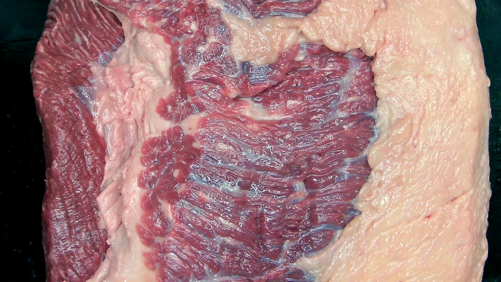Brisket, 7,90 kg – Foto genau dieses Stücks