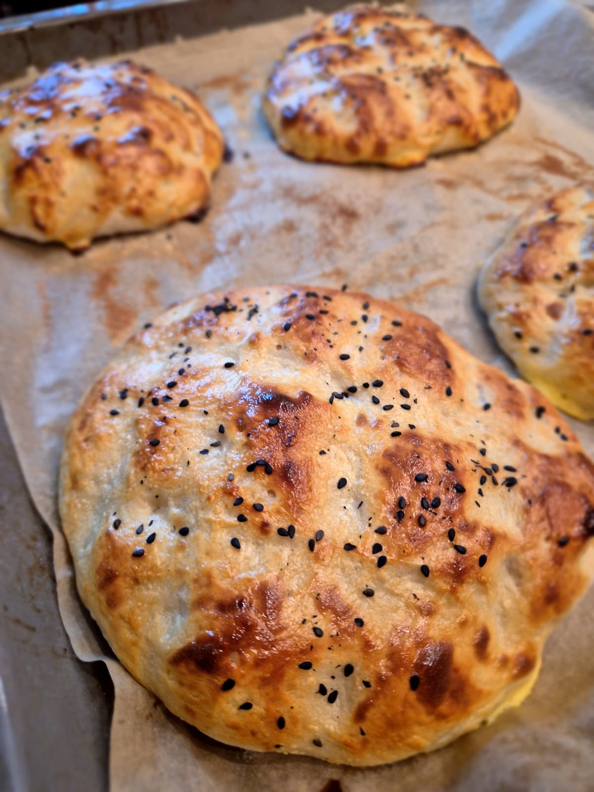 Saftige Köfte aus hochwertigem Allgäu Wagyu Rinderhack - Bild 7